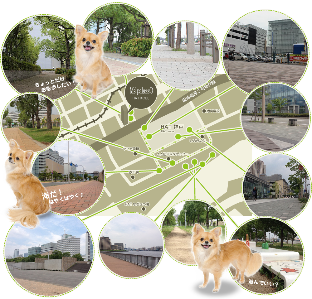 お散歩MAP